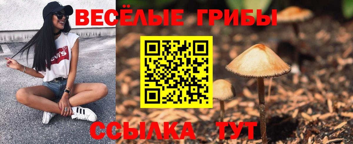 Псилоцибиновые грибы ЛСД Борисоглебск