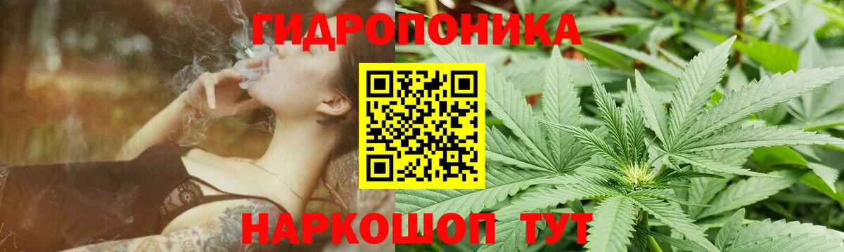 Канабис Bruce Banner Борисоглебск